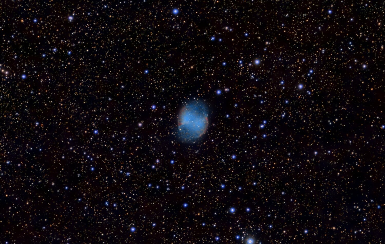M27_Haltere-ZOOM.jpg