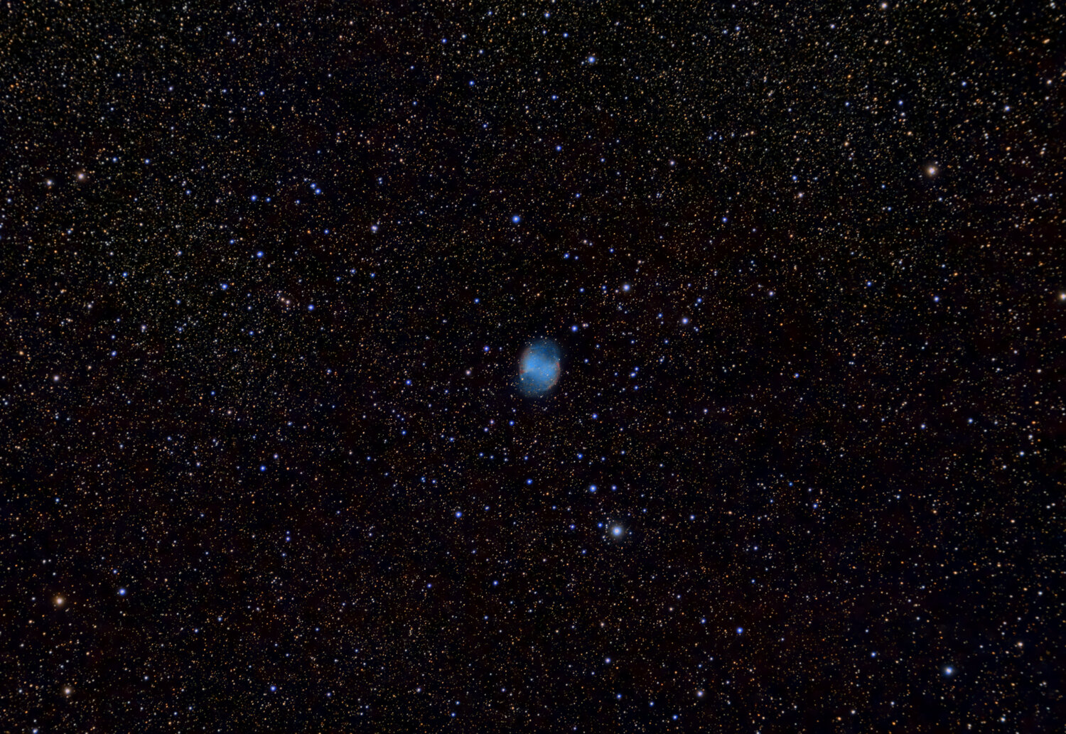 M27_Haltere.jpg