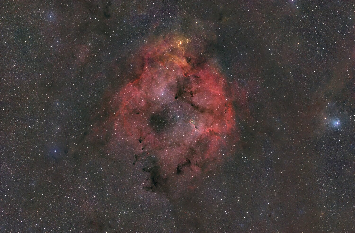 NGC1499v2.thumb.jpg.07aaaa5c1f1927371645f646b091b549.jpg
