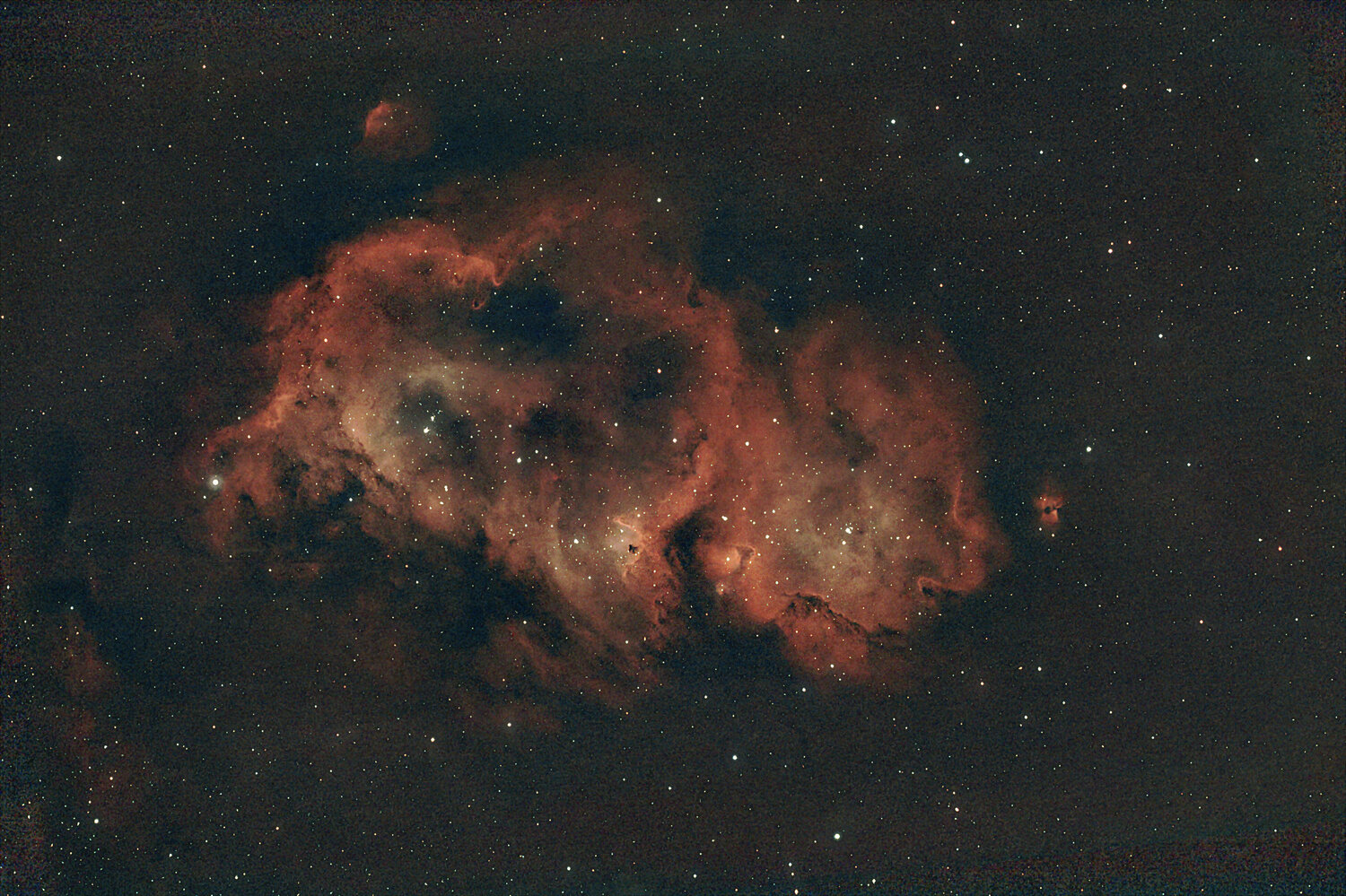 r_bkg_pp_lights_stacked_LINEAIR_GraXpert_HISTO_GIMP_REDUCTION ETOILES.jpg