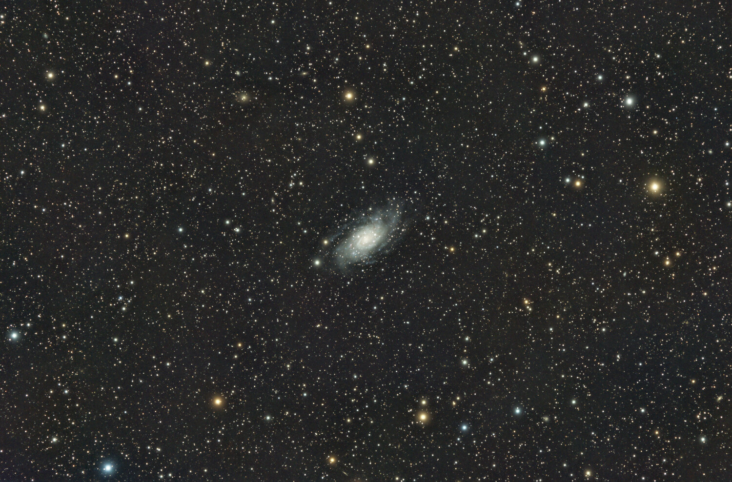 20241212-Ngc2403-SiriL2-GX2-RT2.thumb.jpg.eb70af052bdadaedd33fa5f1587b1659.jpg