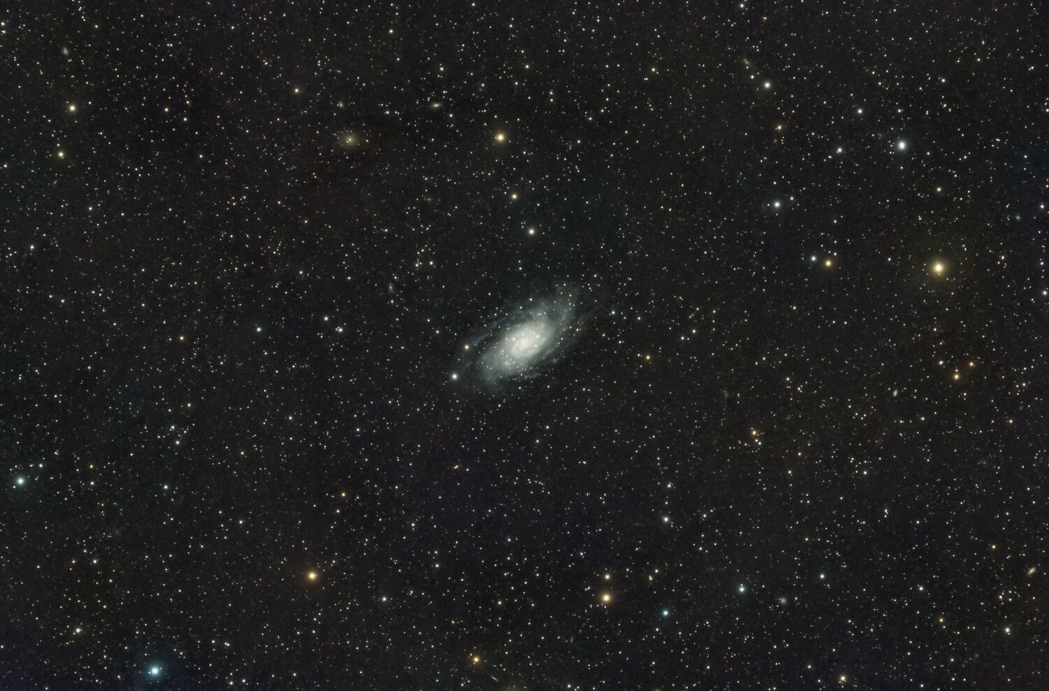 20241212-Ngc2403-SiriL_RS1-GX2-RT2.thumb.jpg.72389fbbfb93b7dd722d7536ee0467da.jpg