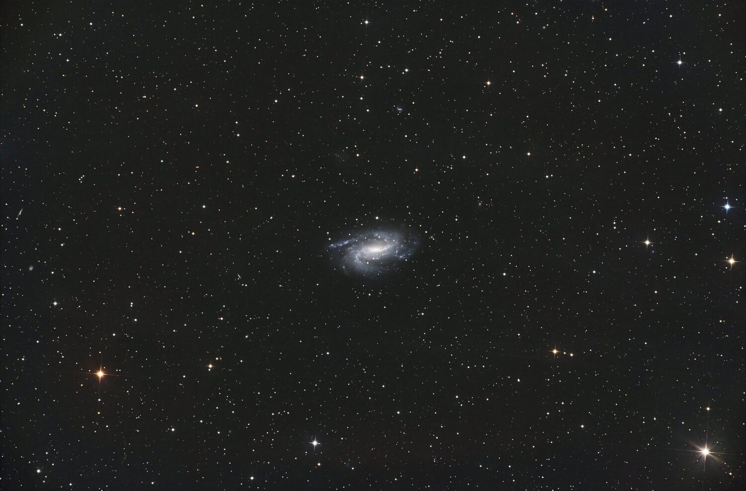NGC925.thumb.jpg.23d2b122c3e9d6a3ab0a3e3e1a2759ed.jpg