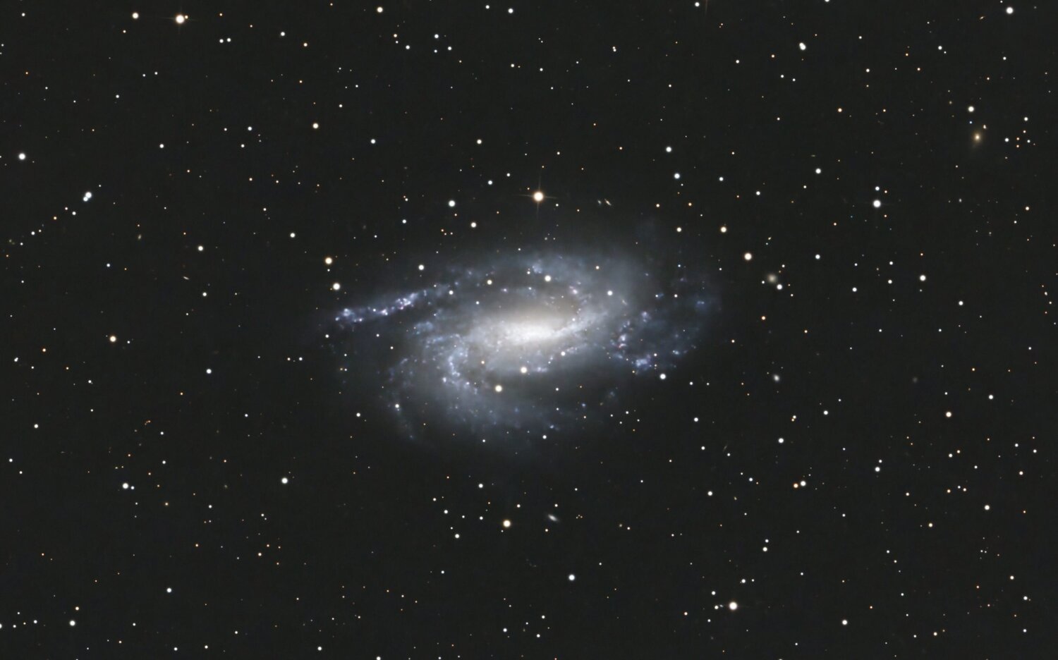 NGC925crop.thumb.jpg.f684c06e895ff61ad9f8350cd3603a1a.jpg