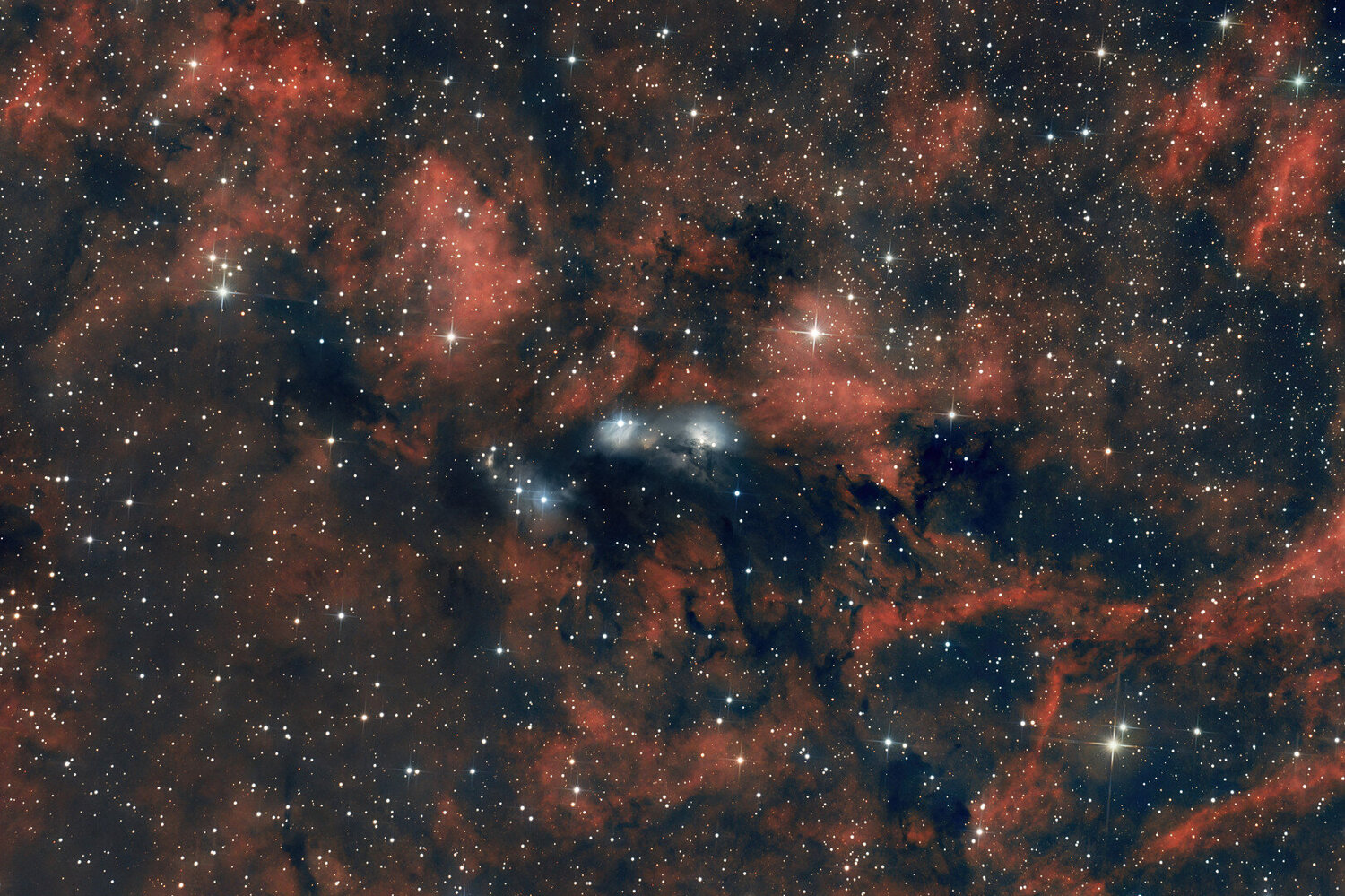 ngc6914-FINAL.jpg