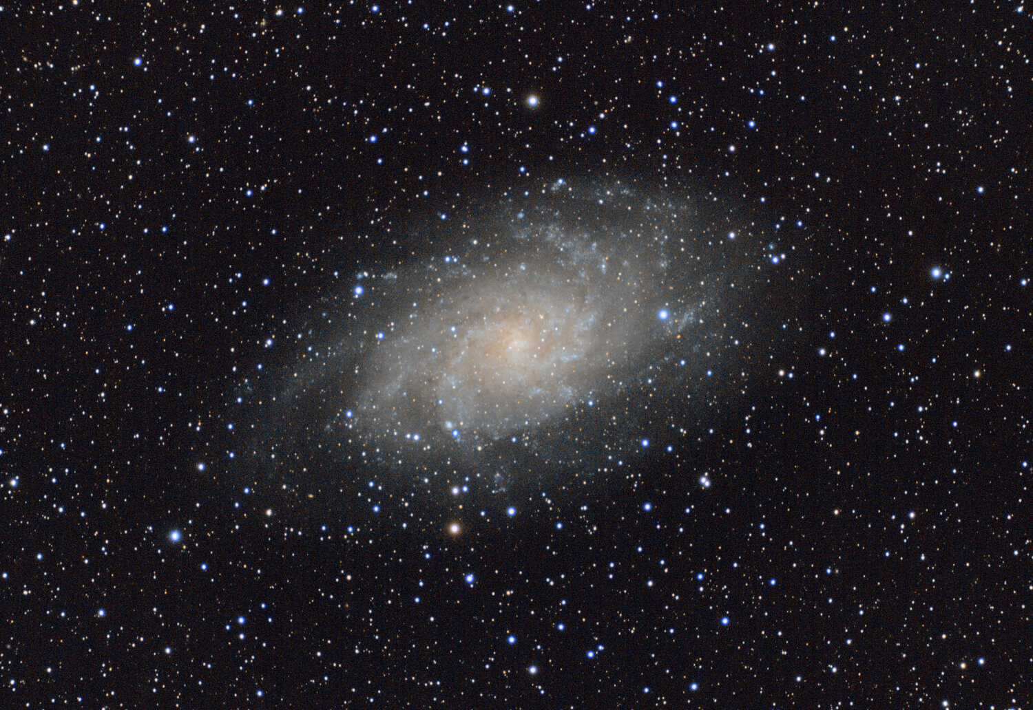 M33_2024_12_23.jpg