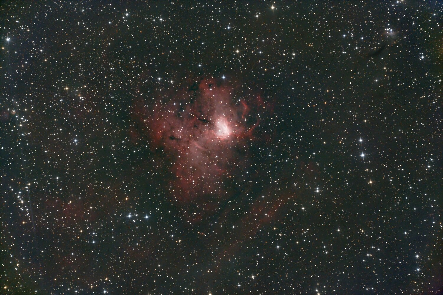 NGC1499.thumb.jpg.764959ad7bac073eafb33b12de104f28.jpg