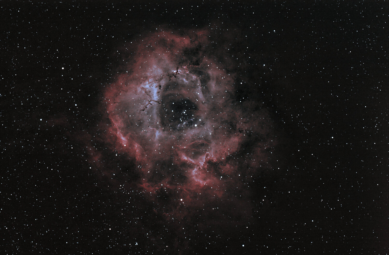 ROSETTE_ SIRIL_STARLESS_GIMP_FIN.jpg