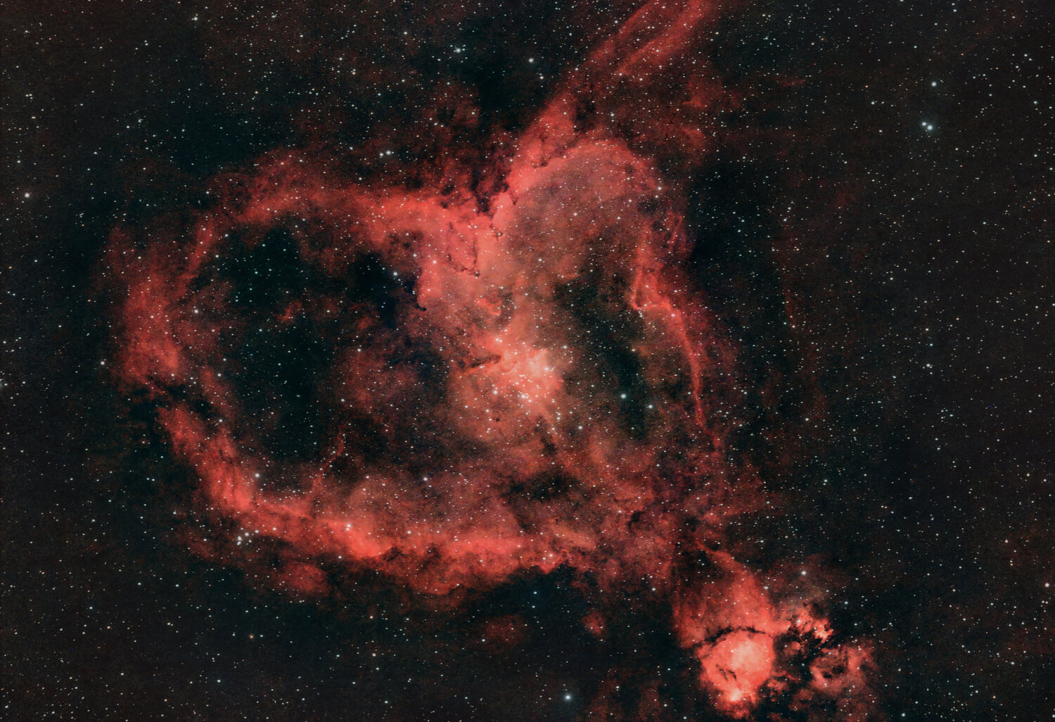 ic1805_graxpert.thumb.jpg.59d97de05add8f3bf3849b21a0bea18e.jpg