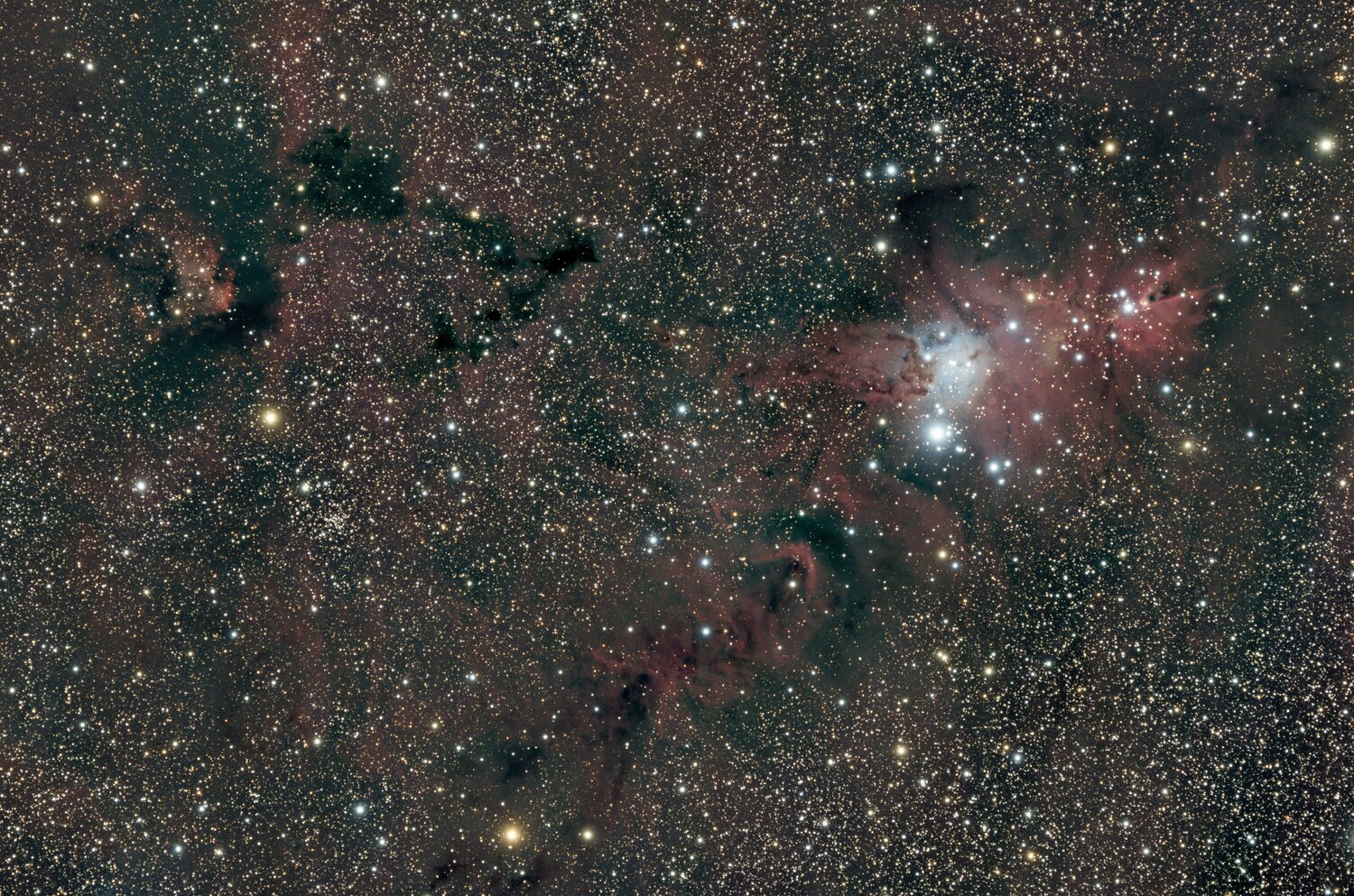 20250202-Ngc2264-Siril-GX-RT.thumb.jpg.6b0194fe02437b5970e3f876791e0161.jpg