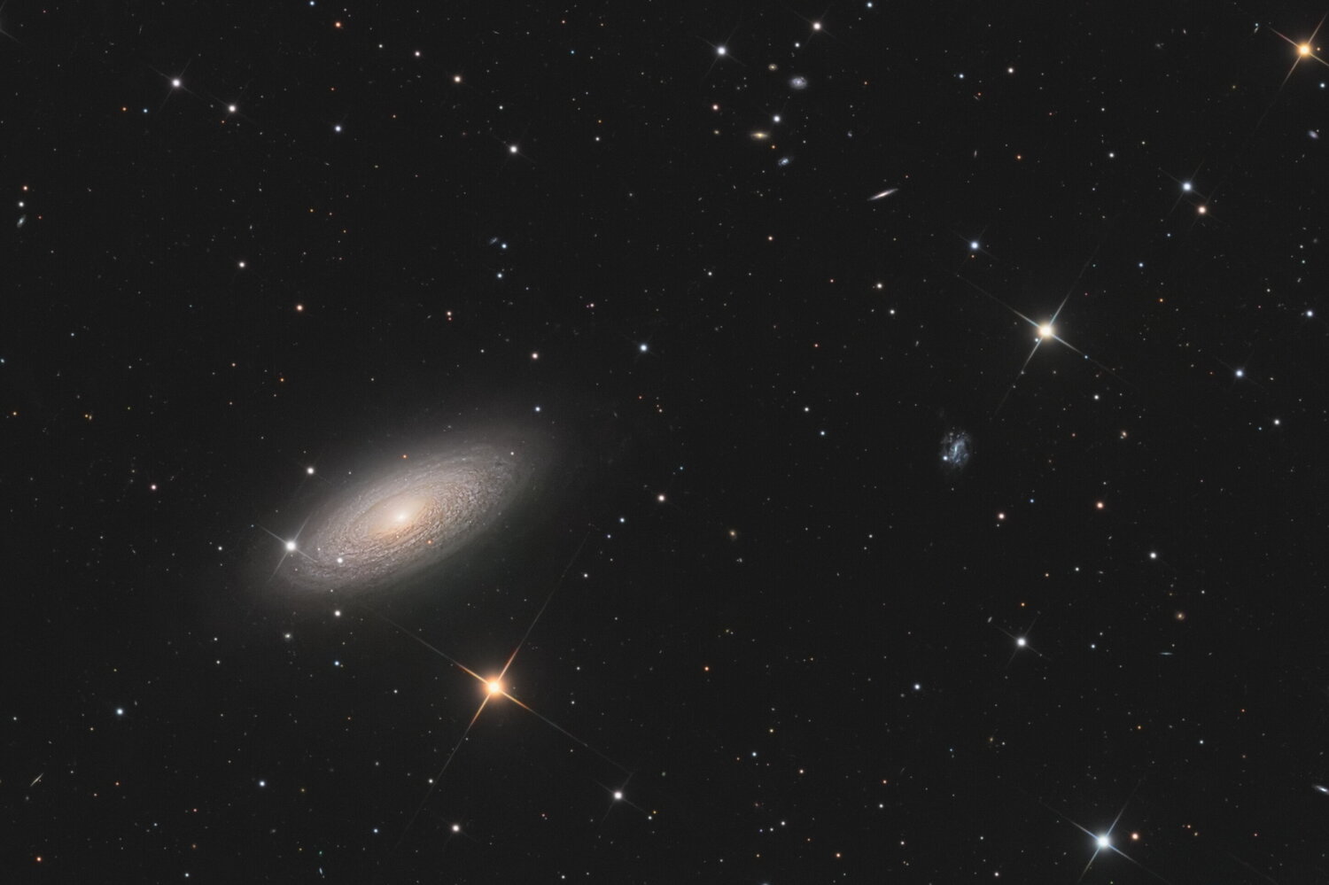 ngc2841_2024_crop.thumb.jpg.374618903fa446e1cd0c5c0c43f4a921.jpg
