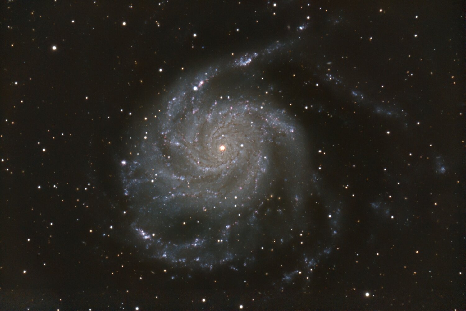 M101_processed.thumb.jpg.319835564b0dbb6cd49eba4017d0f343.jpg
