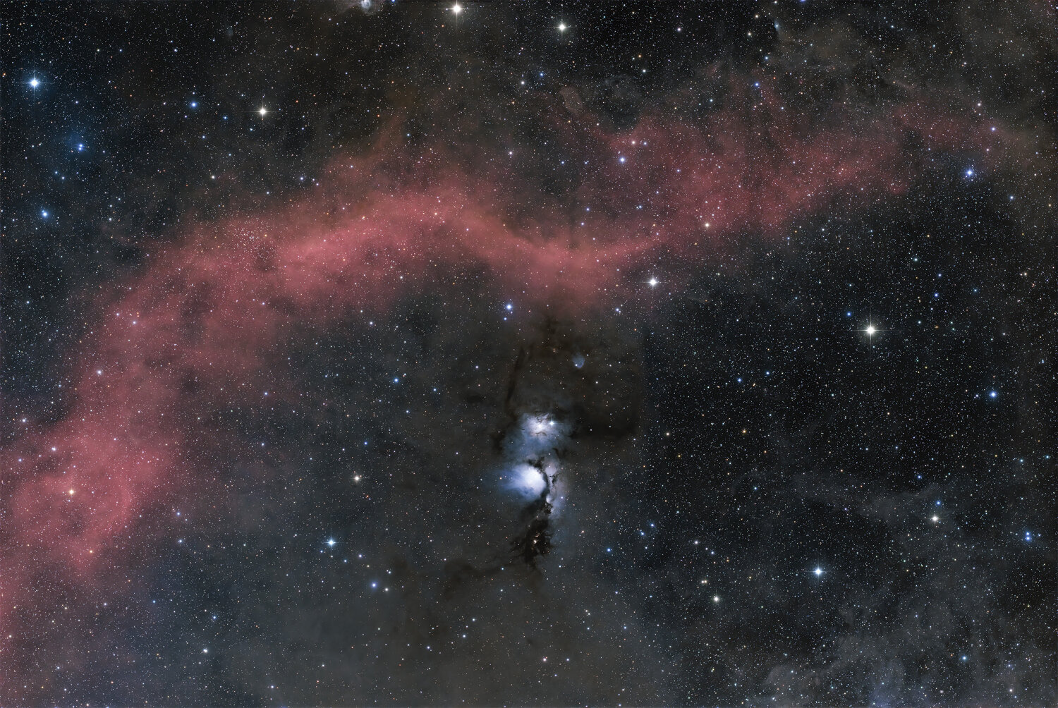 M78_starless_DxO.thumb.jpg.536bf1909ea19becacc777e5324bc31a.jpg