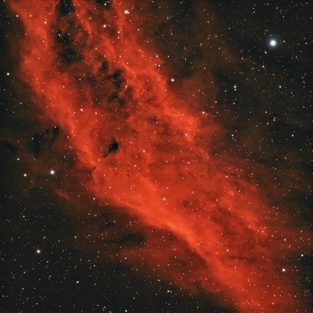 NGC1499CLASSIC.thumb.jpg.07e7dc0c9a96f511dd8050e499a0f873.jpg