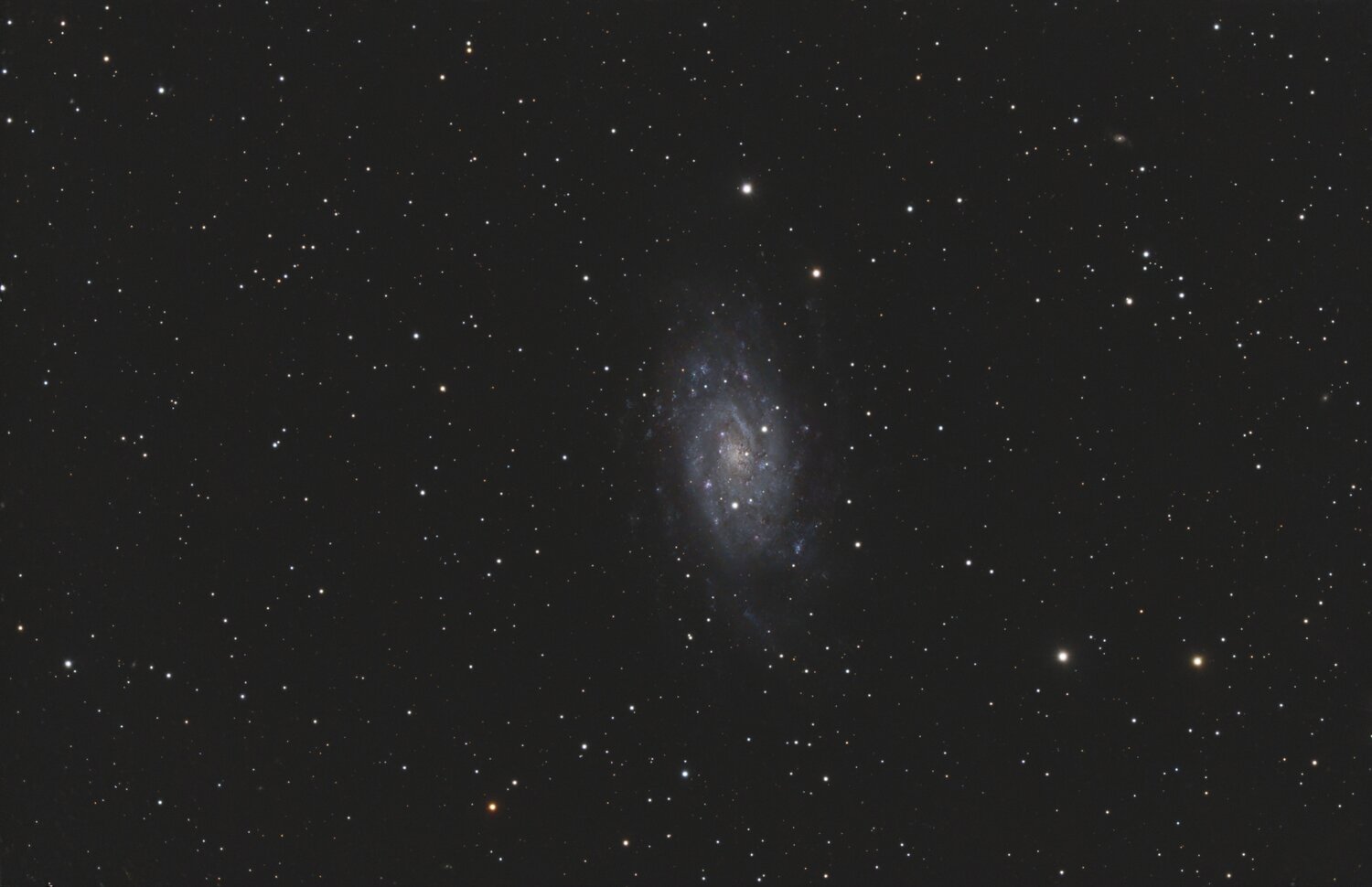 NGC2403RGB21240s.thumb.jpg.651e3b8e54fba8fc09633ce844e9e467.jpg
