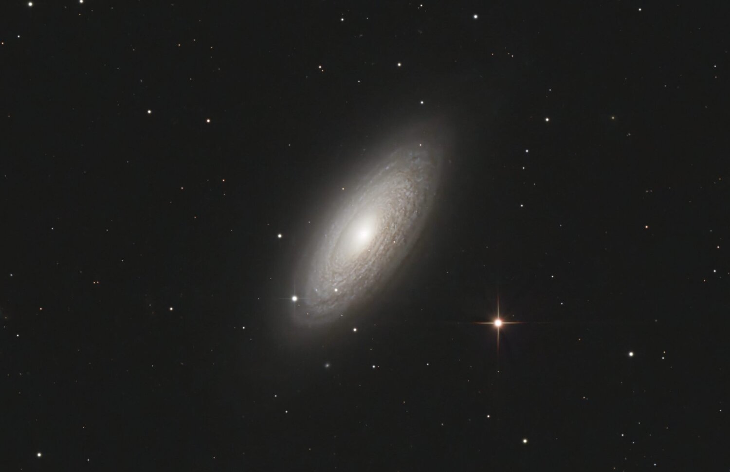 NGC2841_crop.thumb.jpg.67b4926ec81e09dad98aec907fb5a05e.jpg