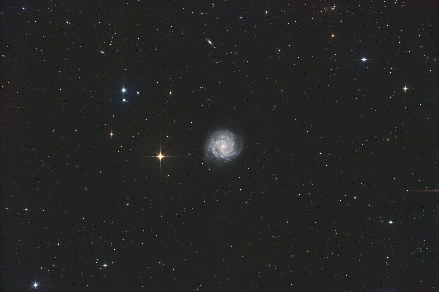 NGC3184.thumb.jpg.2dcee3904b46c5b11ba601189102bc9e.jpg