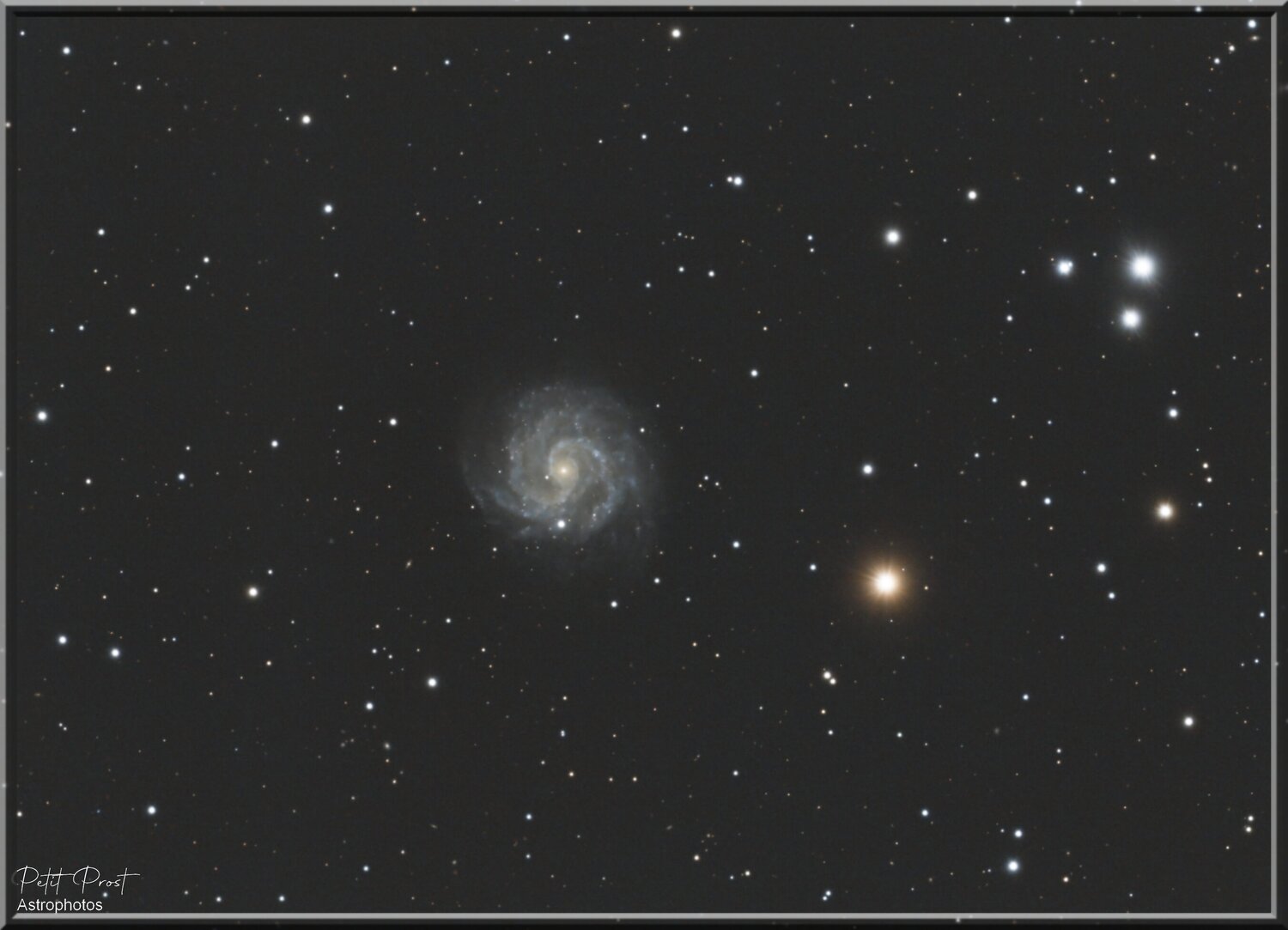 NGC3184_Final-Sign.thumb.jpg.40f72f43b6d46753b00bacde486bea6a.jpg