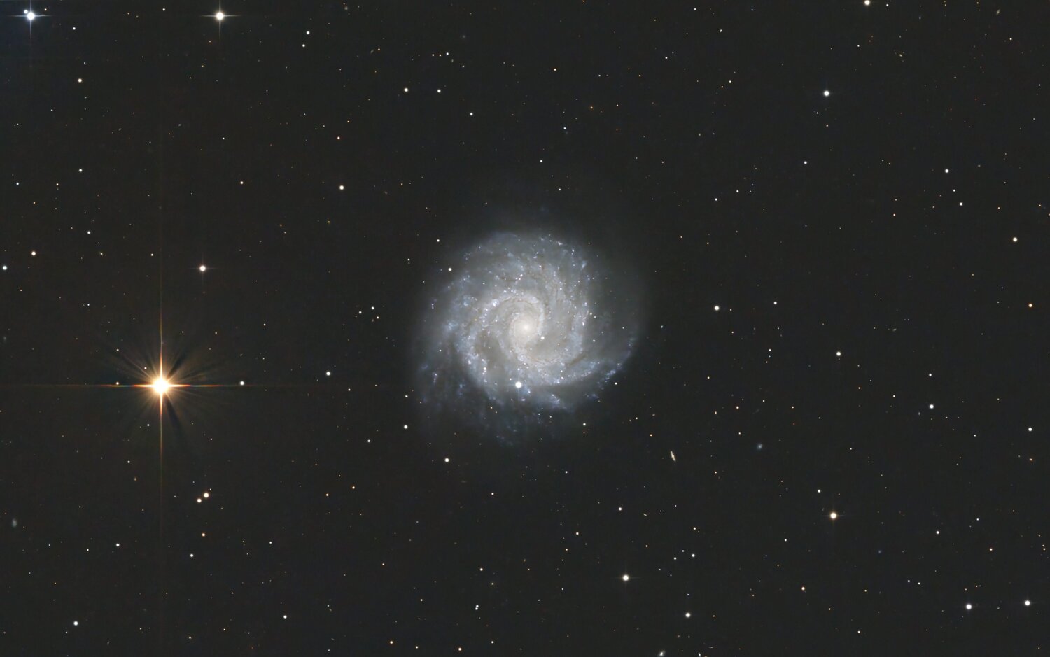 NGC3184_crop.thumb.jpg.a117ae9fc92c92d7826dae9004f3e6e1.jpg