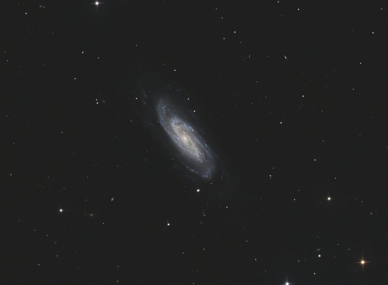 NGC3198crop.thumb.jpg.a582ff08cfd21cc97cfe37b3e0546d37.jpg