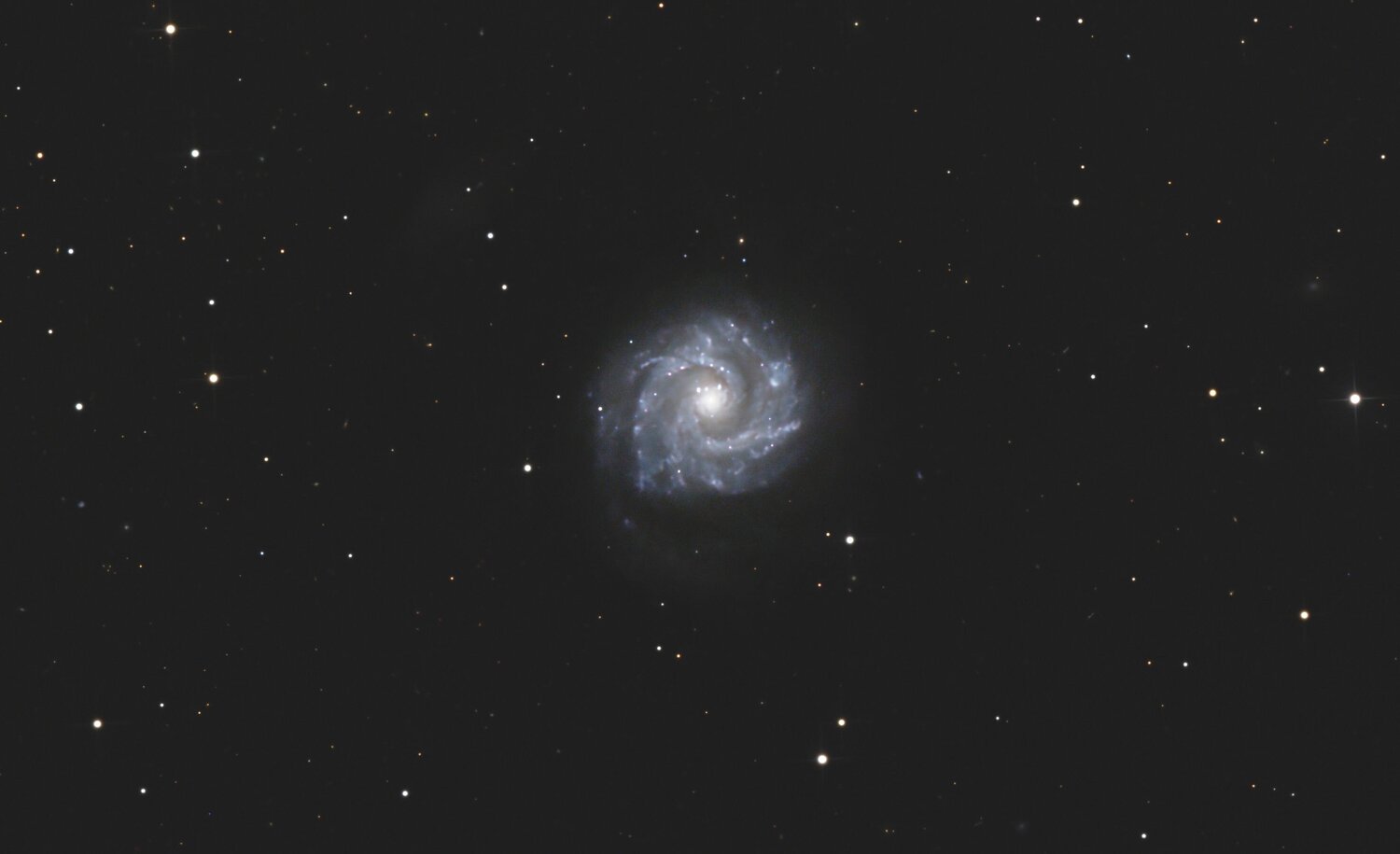 NGC3631-crop.thumb.jpg.8aa0d8d4ef4ed682a209c314c315520d.jpg