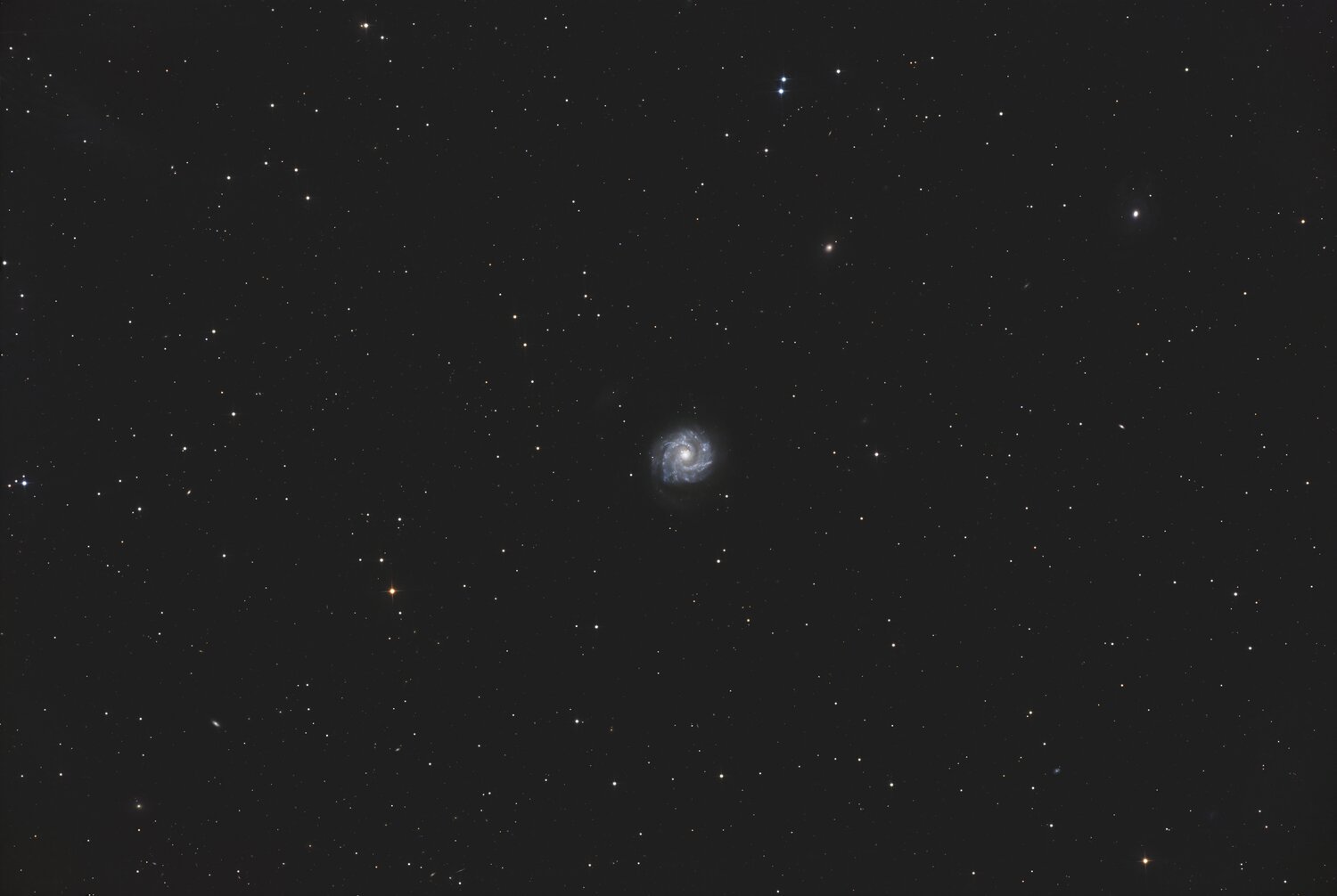 NGC3631.thumb.jpg.bae6ab4e29acee09743675593f7c92d8.jpg