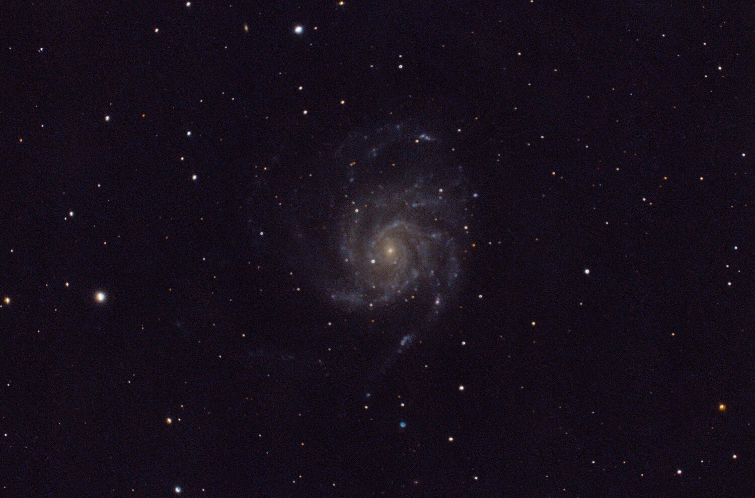M101_C8_2024-04-10.jpg