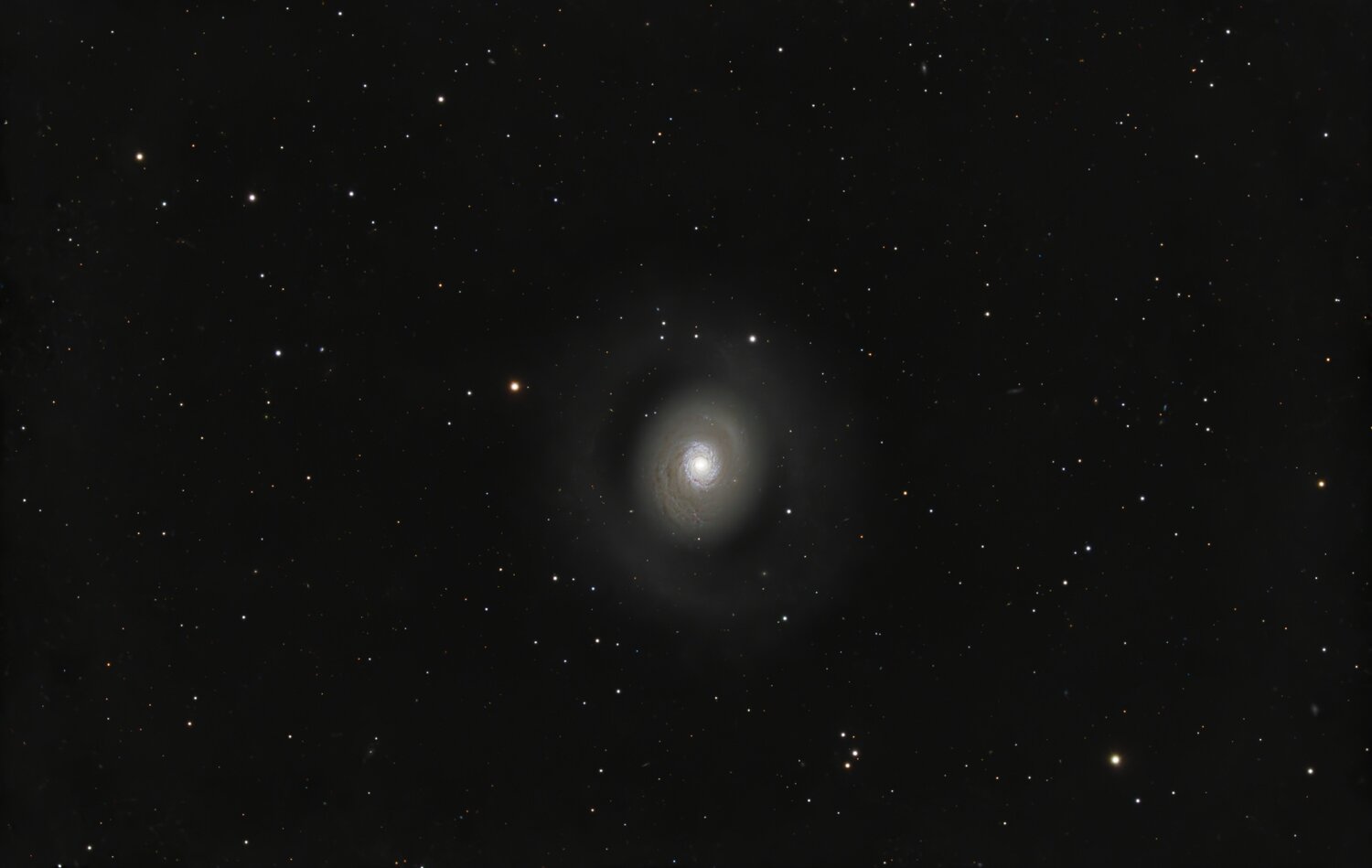 M94RGB_25080s.thumb.jpg.0529be4972ef19a533dae0c04c92b49e.jpg