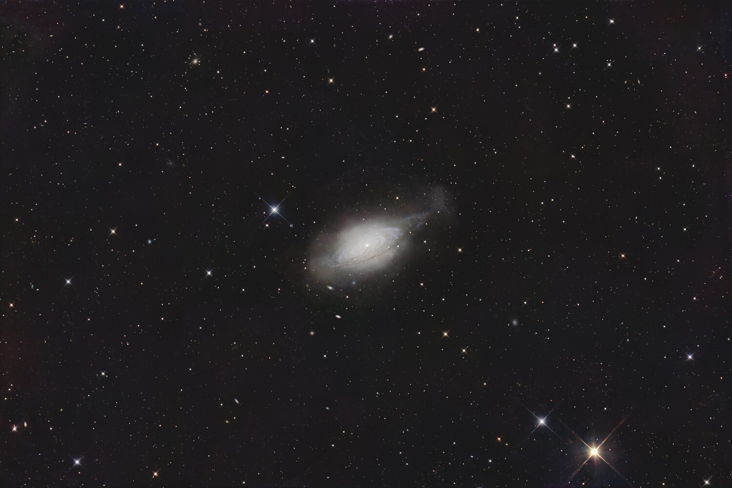 NGC3521.thumb.jpg.a49bef1da302903e7f70c95b04130e16.jpg