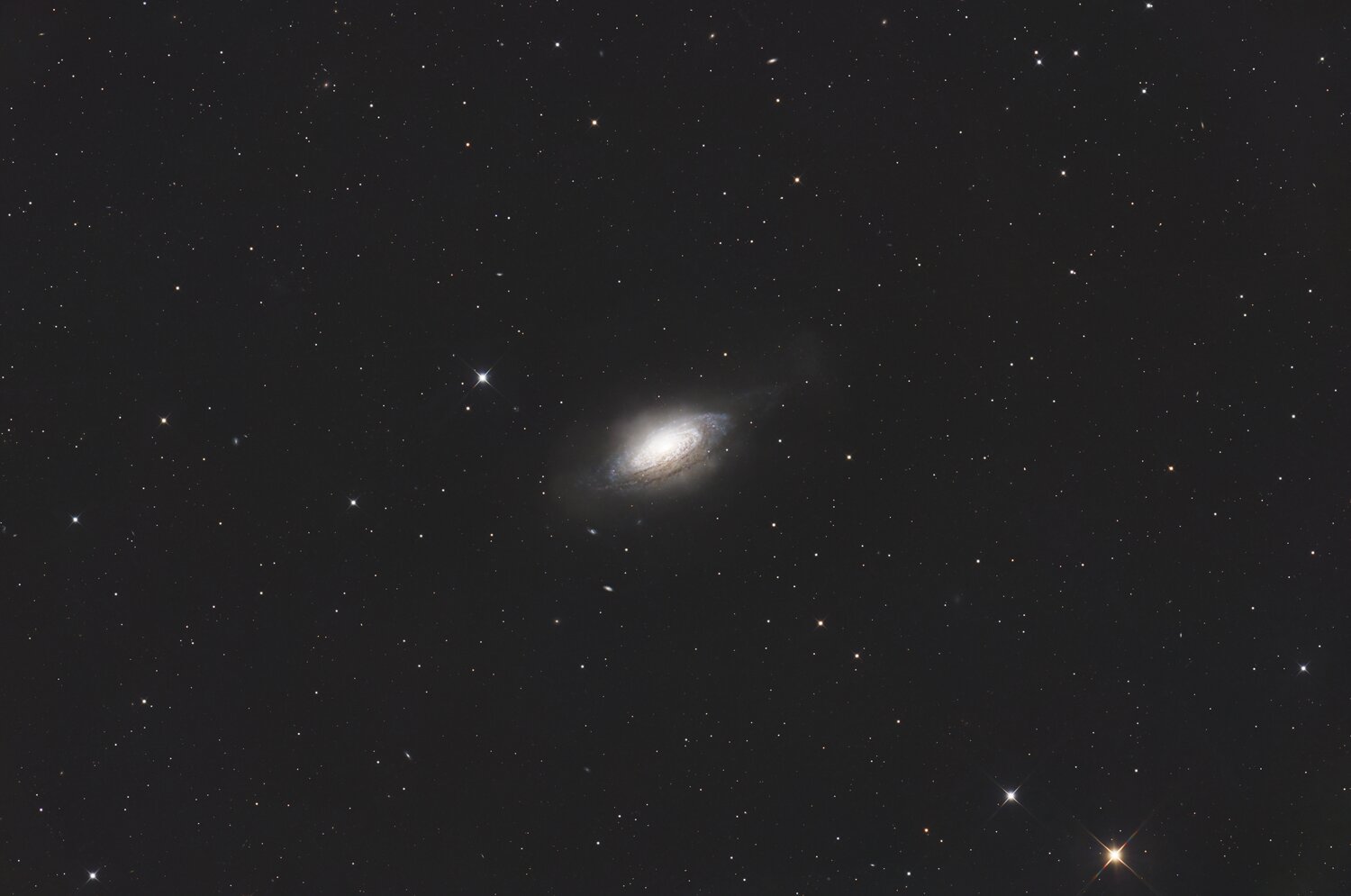 NGC3521_bis.thumb.jpg.eb8b2bf65eb1f20b59e542b493be2a42.jpg