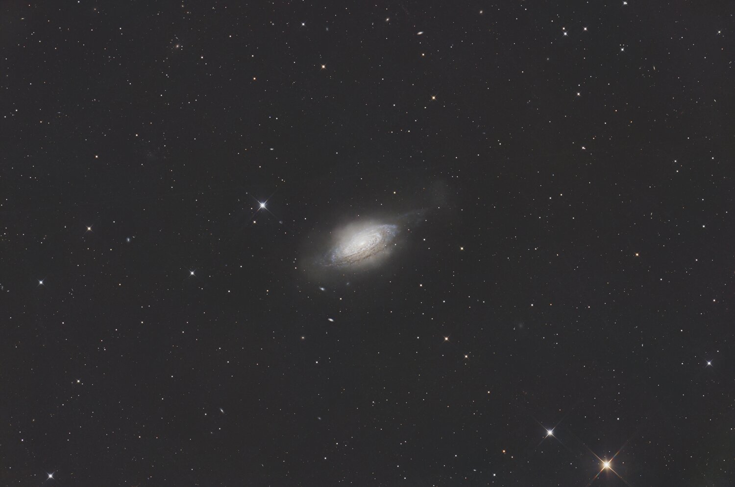 NGC3521_ter.thumb.jpg.331401621e8ddd99255c9b93e26855ac.jpg
