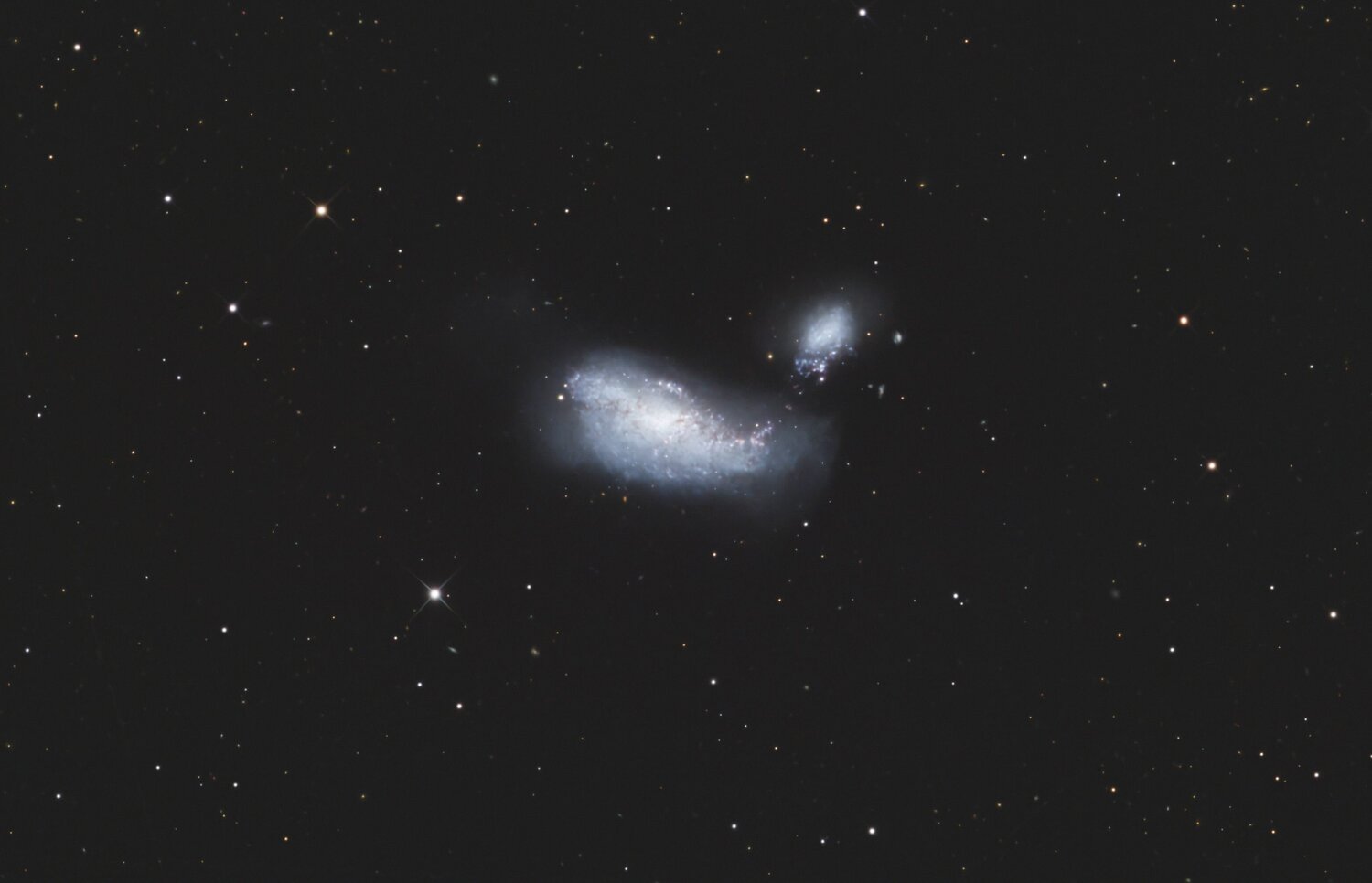 NGC4490crop.thumb.jpg.77d8d68486a024de43460ed1035f6e3c.jpg