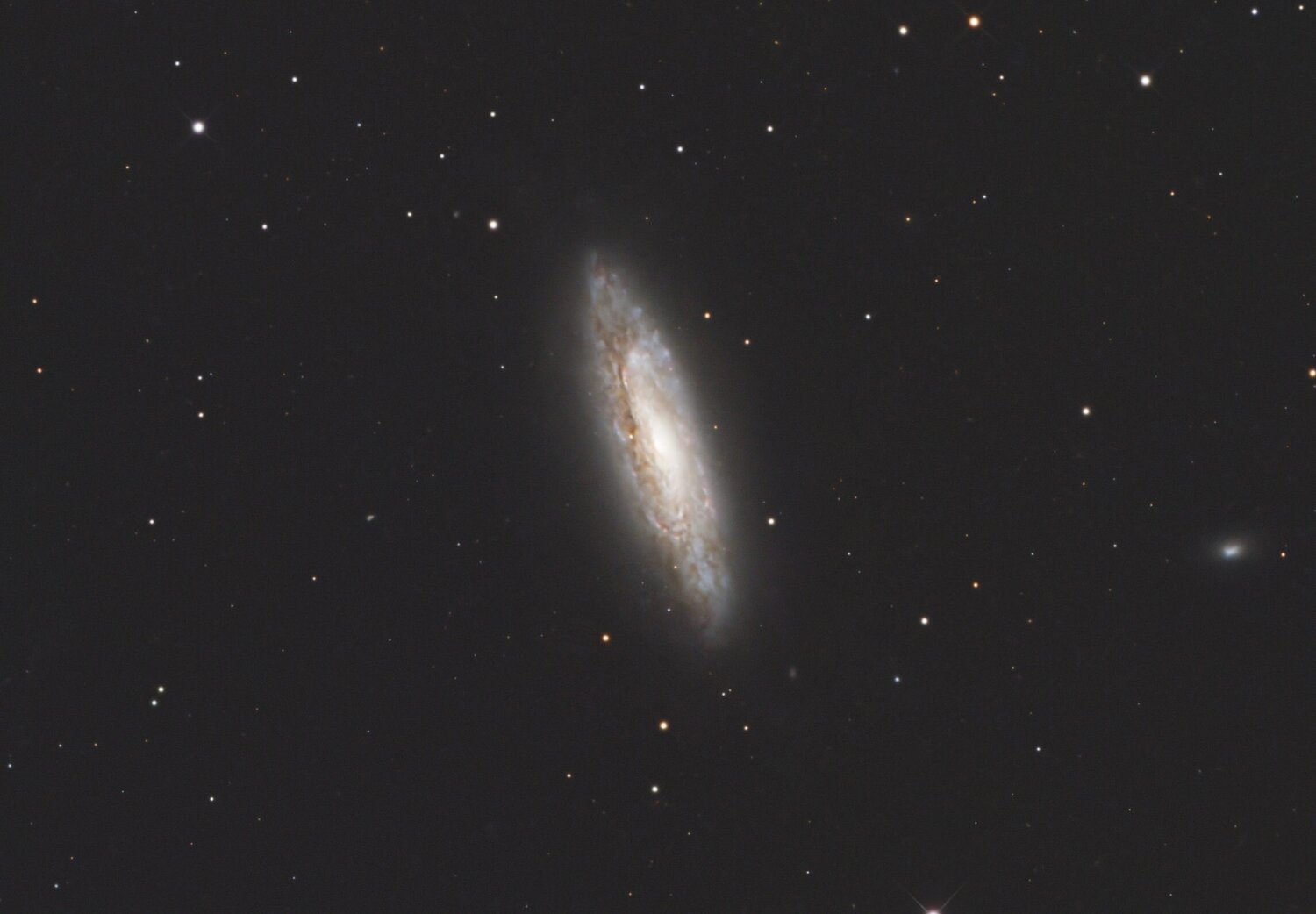 NGC4527_crop.thumb.jpg.0970db2eaab6be3b950b4013efde4d02.jpg