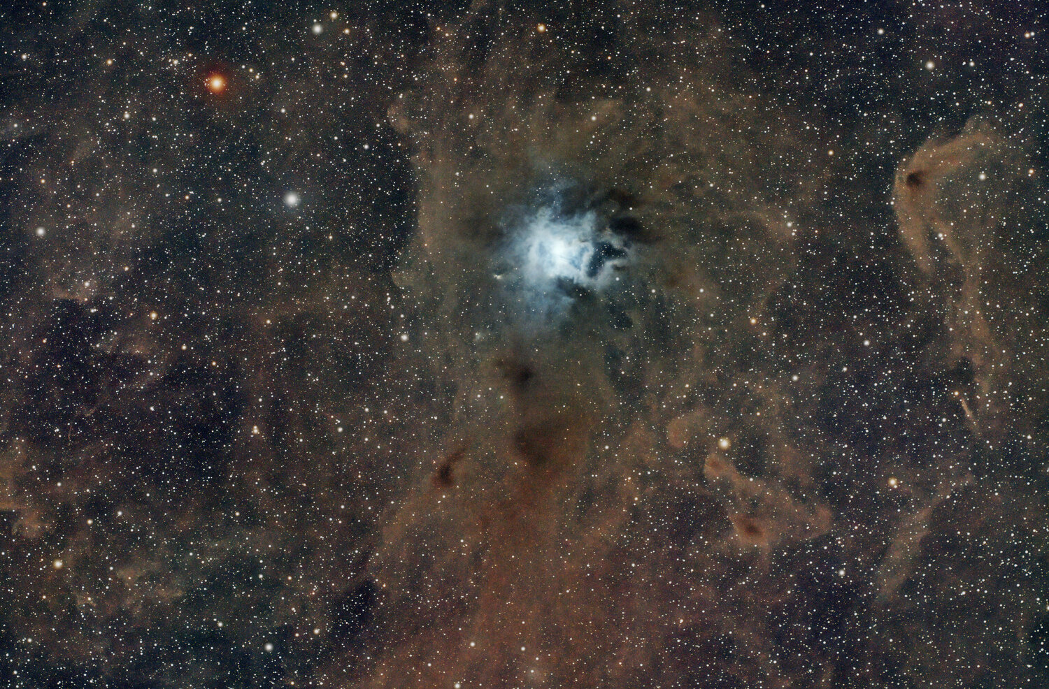NGC 7023_Traitement 02_Image finale_X-Dauvin_04-04-2025 small.jpg