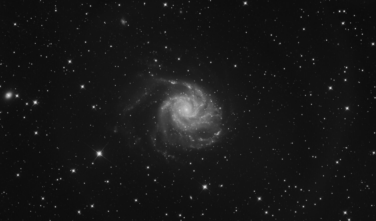 m101_27042025_stacked003 (2).jpeg
