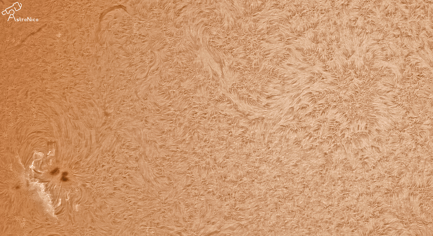 Capture d'écran 2025-05-03 163731.png