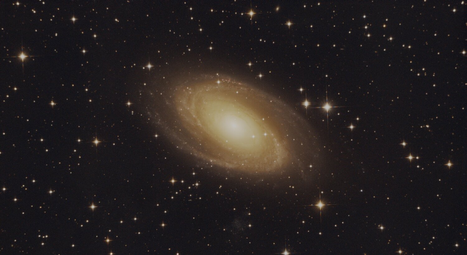 M81-16-05-2025-Newt.thumb.jpg.0d9d5616deca26614d2f79cb501261e4.jpg