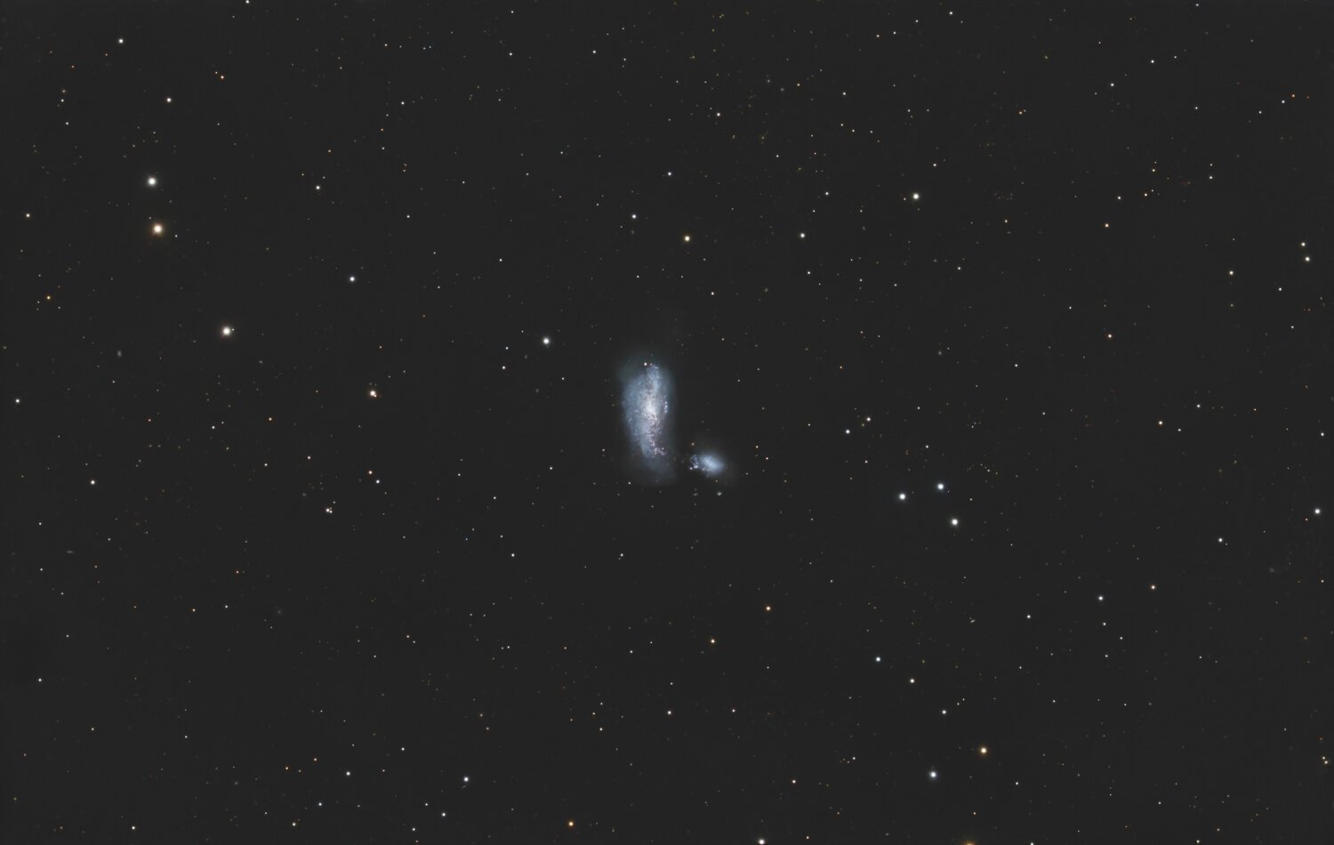 NGC4490RGB_23520s.thumb.jpg.496585725c18f7918fa3c72a344c512c.jpg