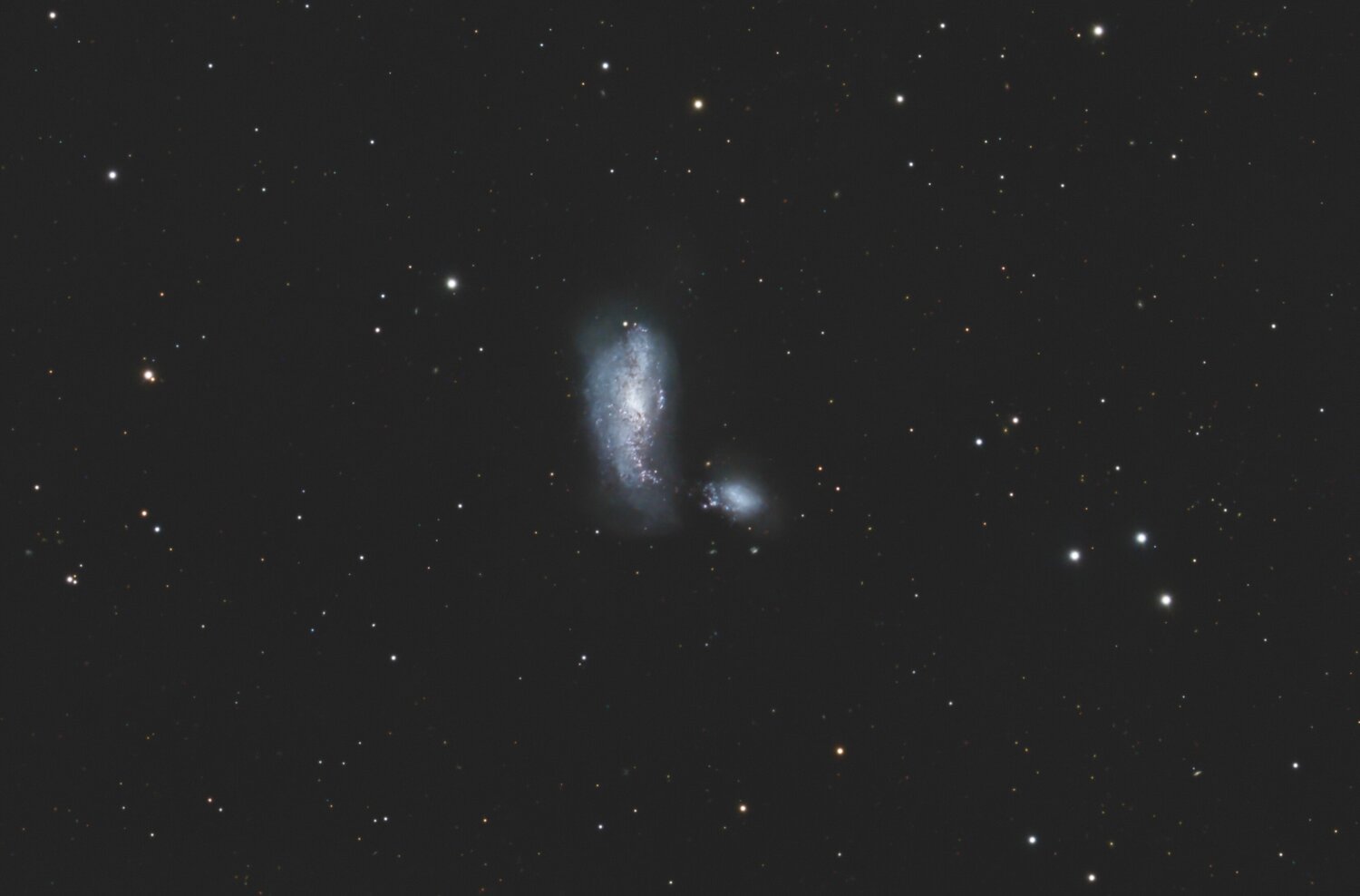 NGC4490crop.thumb.jpg.40b7711526495f3275de262f9acedd7a.jpg