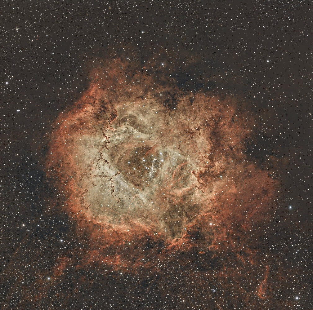 Rosette-1.jpg