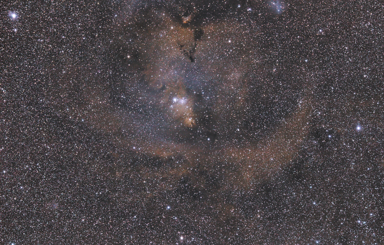 ngc2264Co-nikkor180mm_f5.6_canon60D_L-enhance_67x180s_3200iso_SP_r50.thumb.jpg.5b539c43d0d9fe71fa8013315c6470a8.jpg