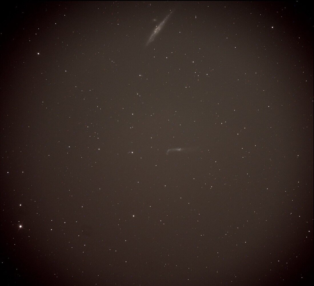 30052025 NGC 4656 - Grande.jpeg