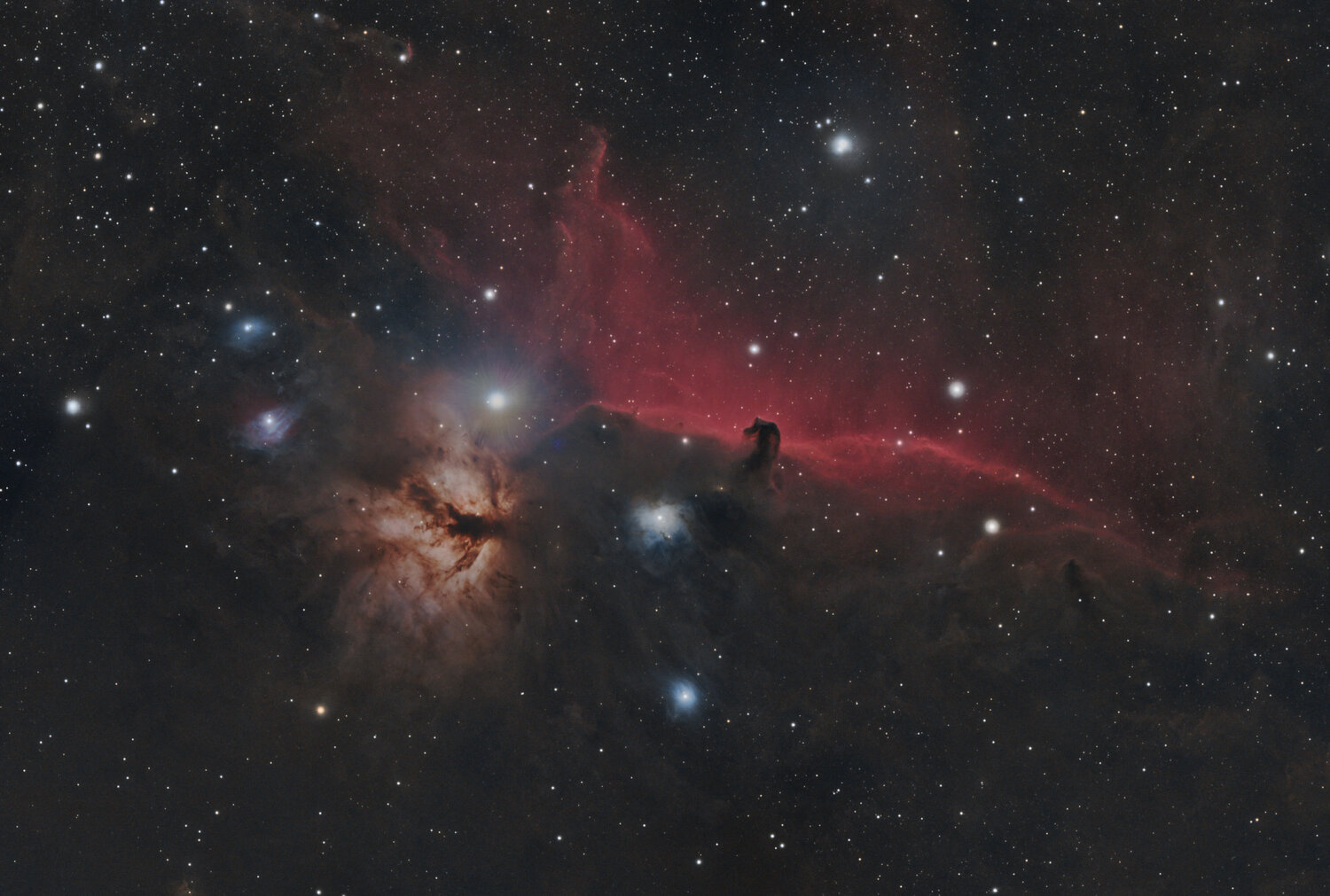 IC 434_Tête de cheval_mars 2025_2.jpg