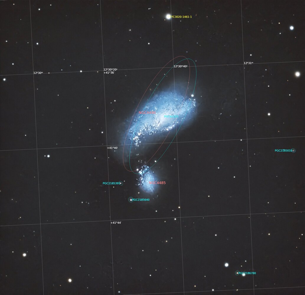 NGC4490Annotated.thumb.jpg.546861bb247dd3f0e2933052d4f3e843.jpg