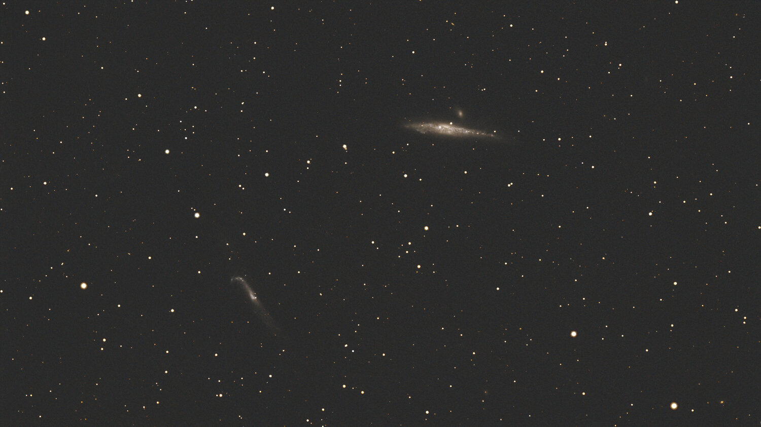 NGC4631_SIRIL_LINEAIR_graxpert_denoised_HYSTO_GRAXPERT_STARLESS_GIMP2.jpg