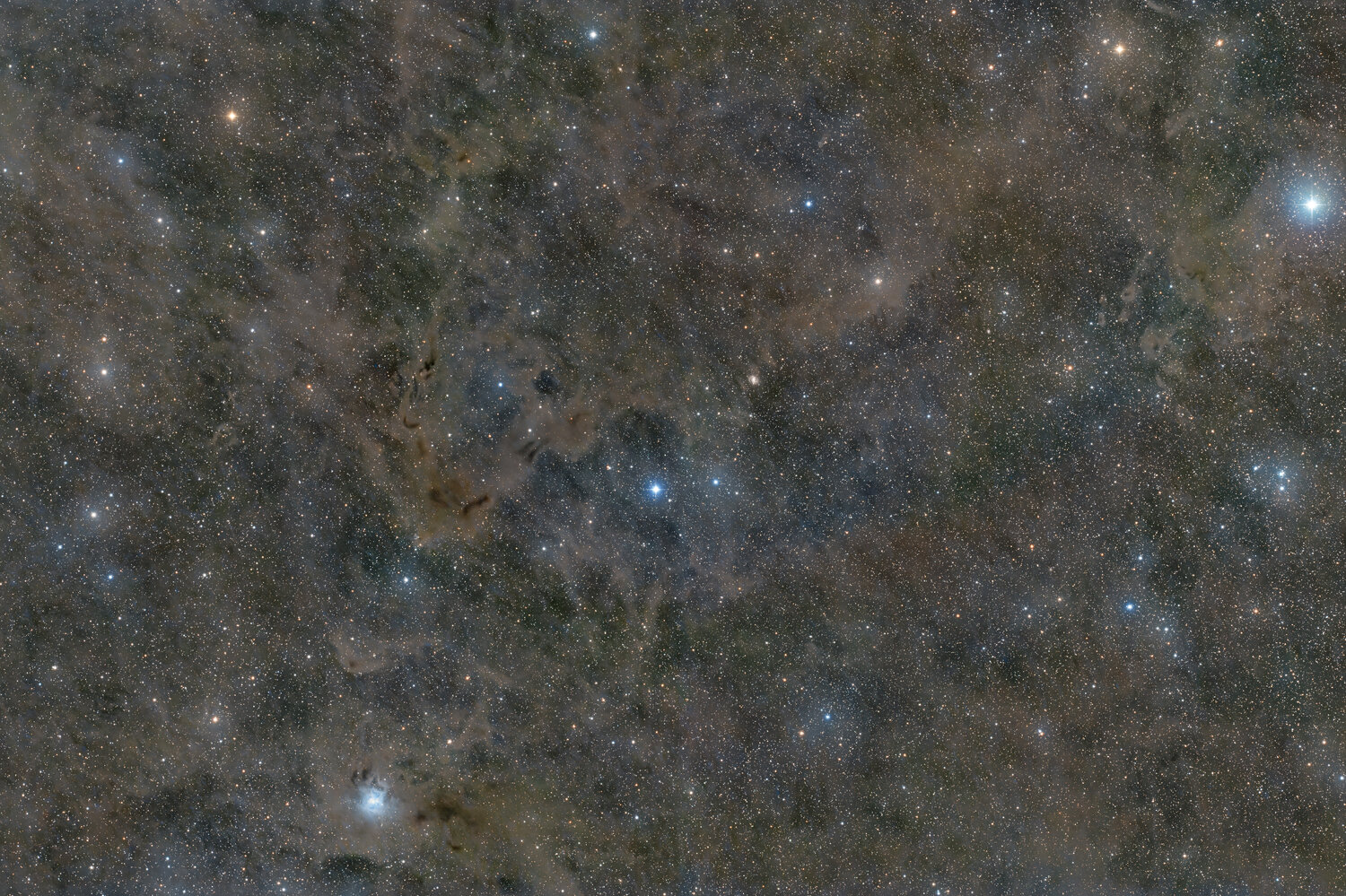 NGC7023_PS.thumb.jpg.750d312238ad95a88353fe9e9612cec8.jpg