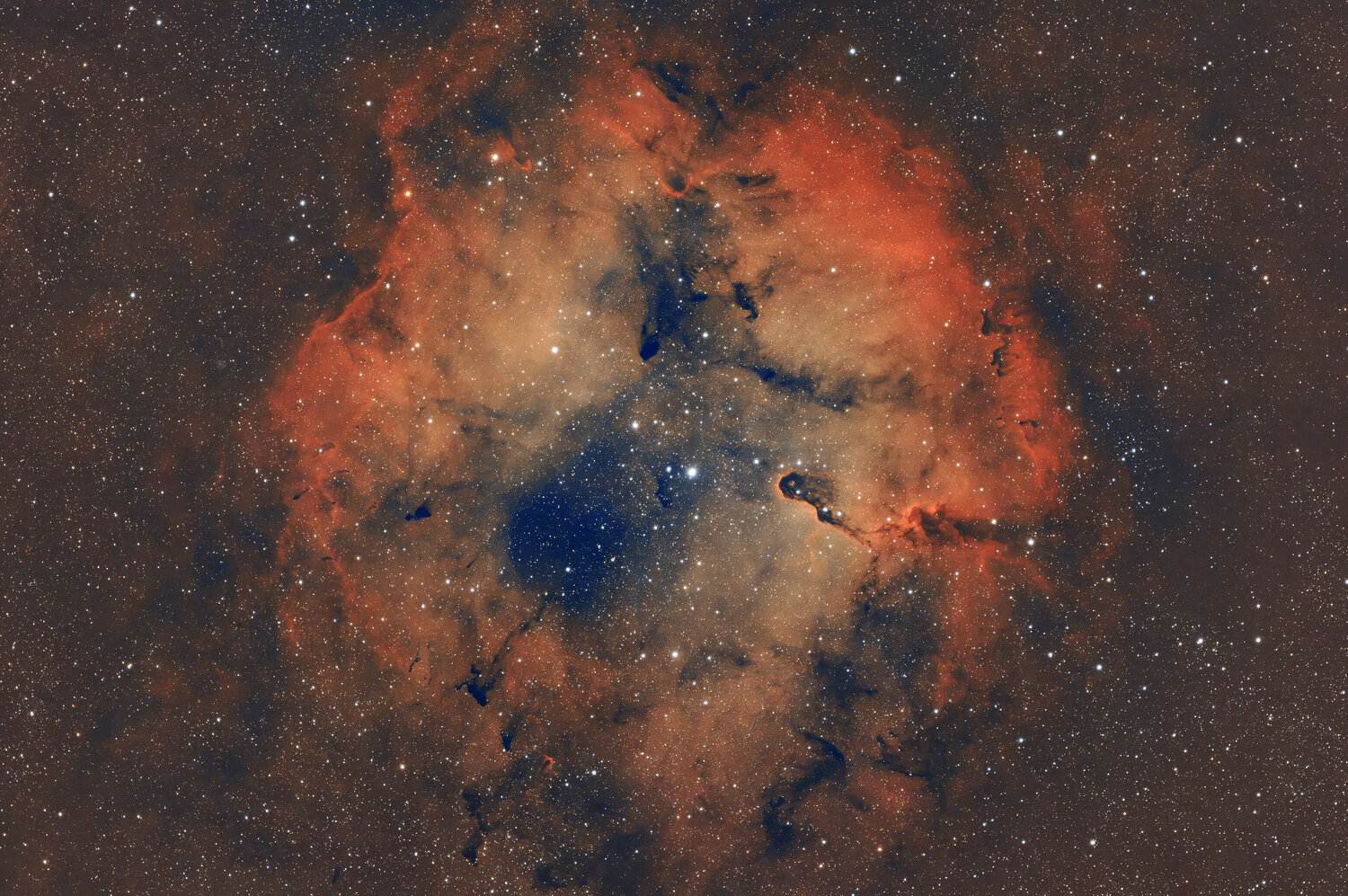 IC1396 04072025_stacked065 002.jpg