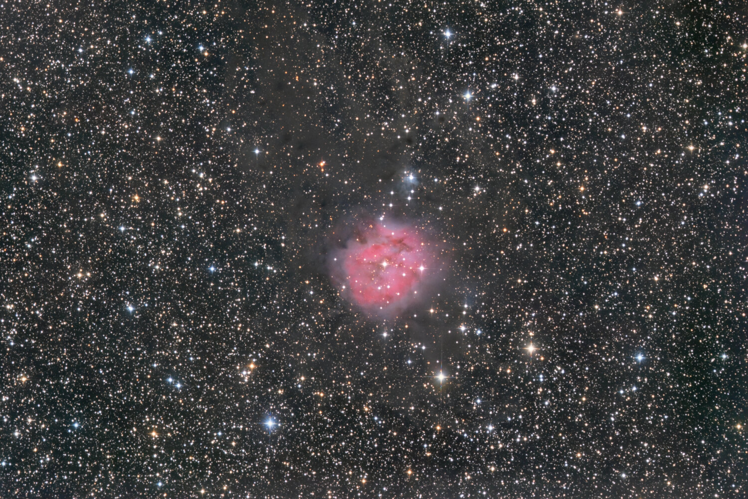 IC 5146_RVB-iris-étir-cs5-3-FINAL-1-x.jpg