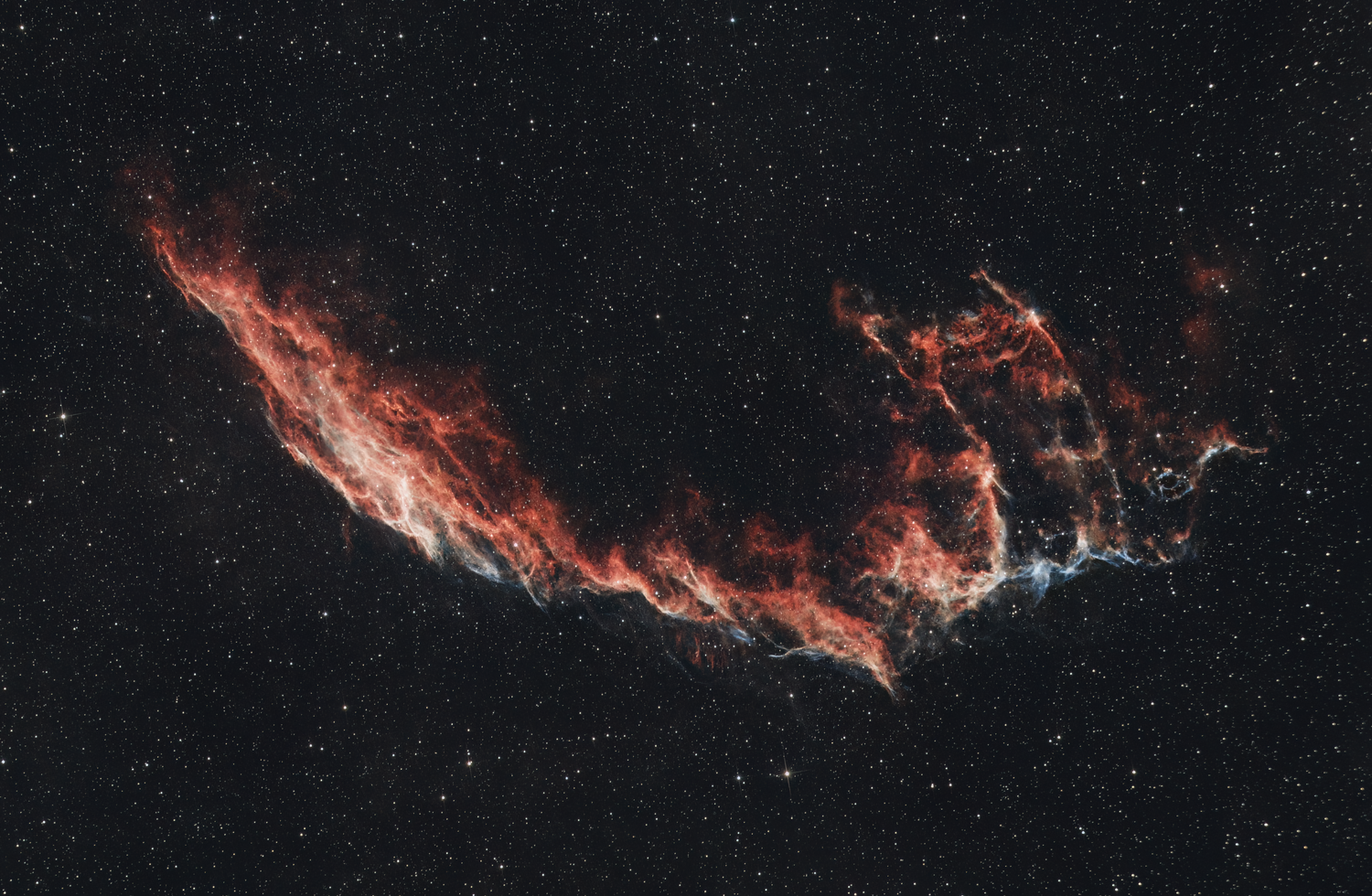 NGC6992_2023-2025_203x240s_V4.thumb.png.a63b2fb13860045baf9111f5f8fe70cc.png