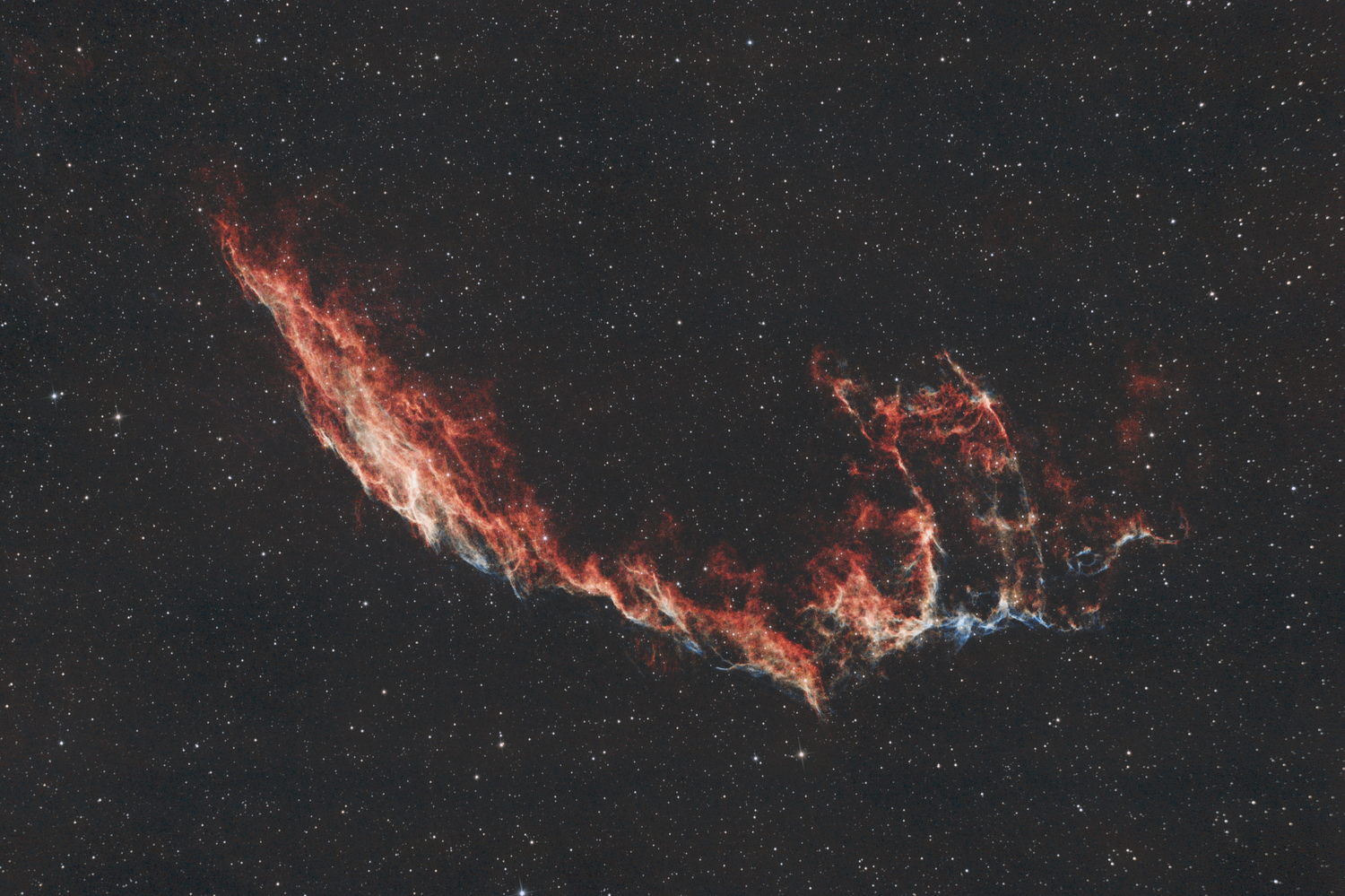 NGC6992_2025-70x240s.thumb.png.0b4d7d38d1408c6ac2113296f1d1c21d.png